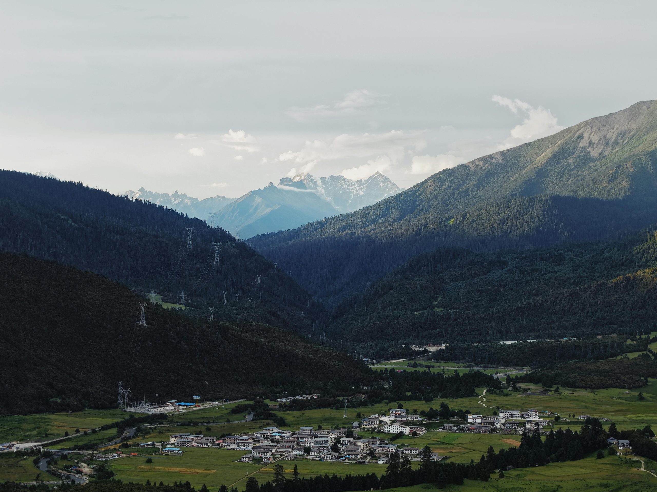 photo of a woman looking pensive by the window